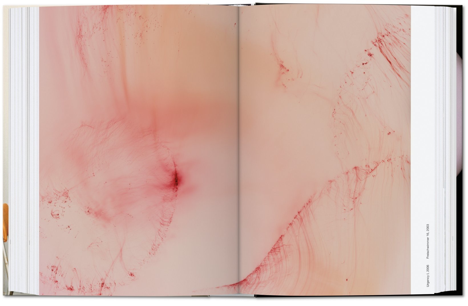 Artbook - Sách Tiếng Anh - Wolfgang Tillmans: four books