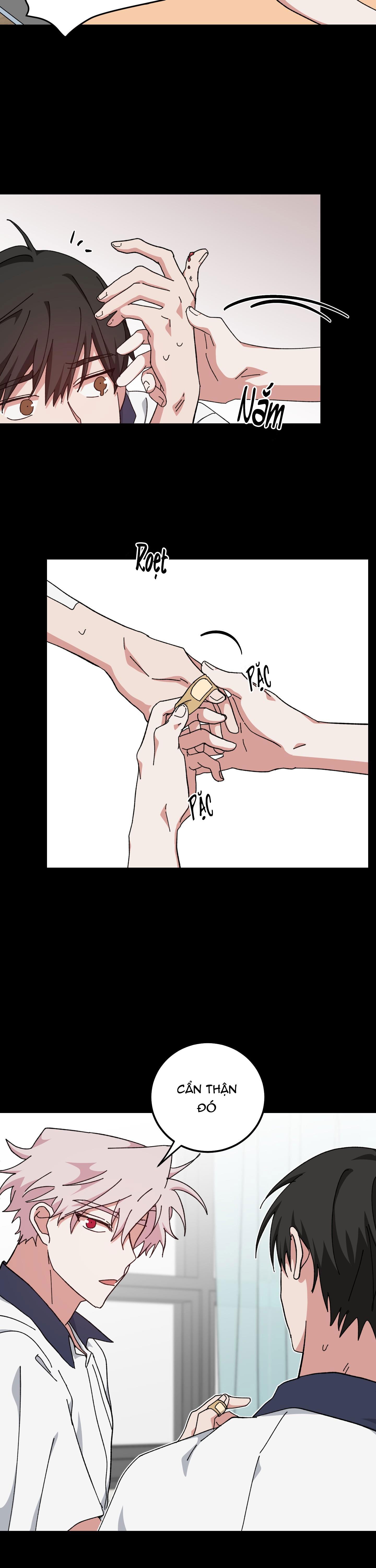 yêu tôi đi, thần hộ mệnh chapter 34 11