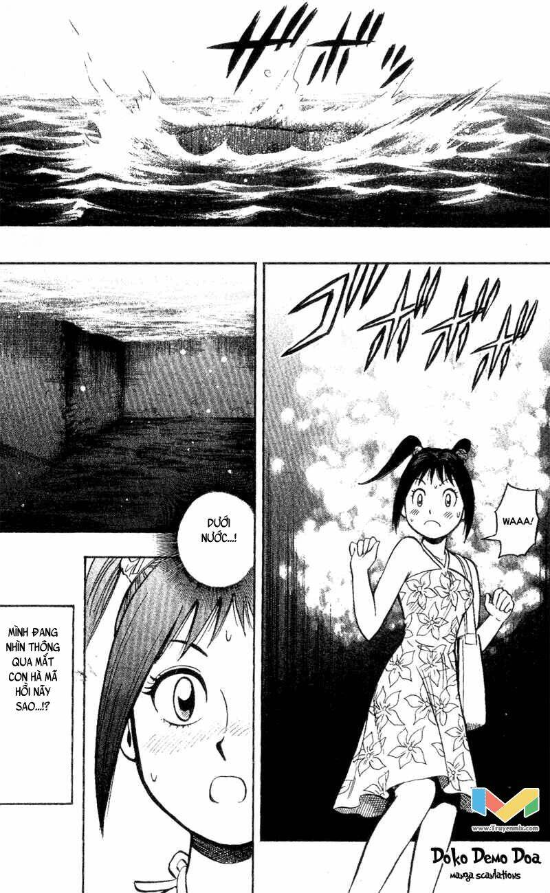 animal sense chapter 3 19