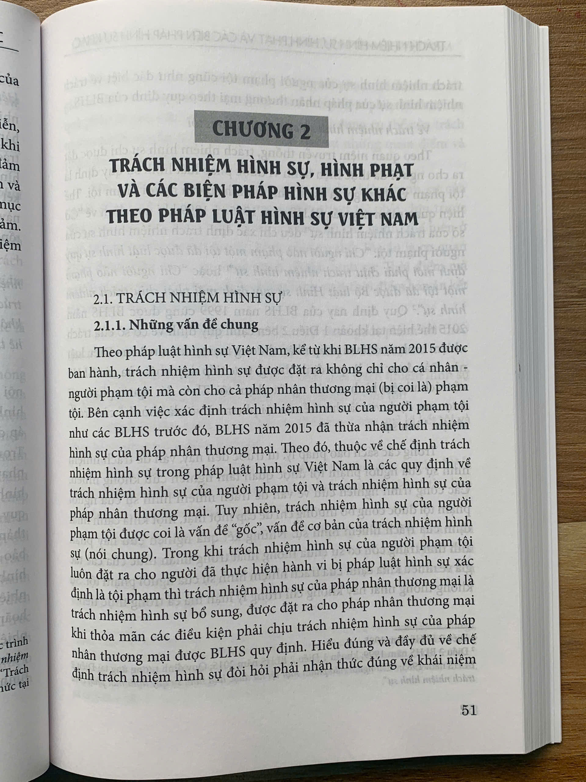 Trách nhiệm hình sự, hình phạt và các biện pháp hình sự khác