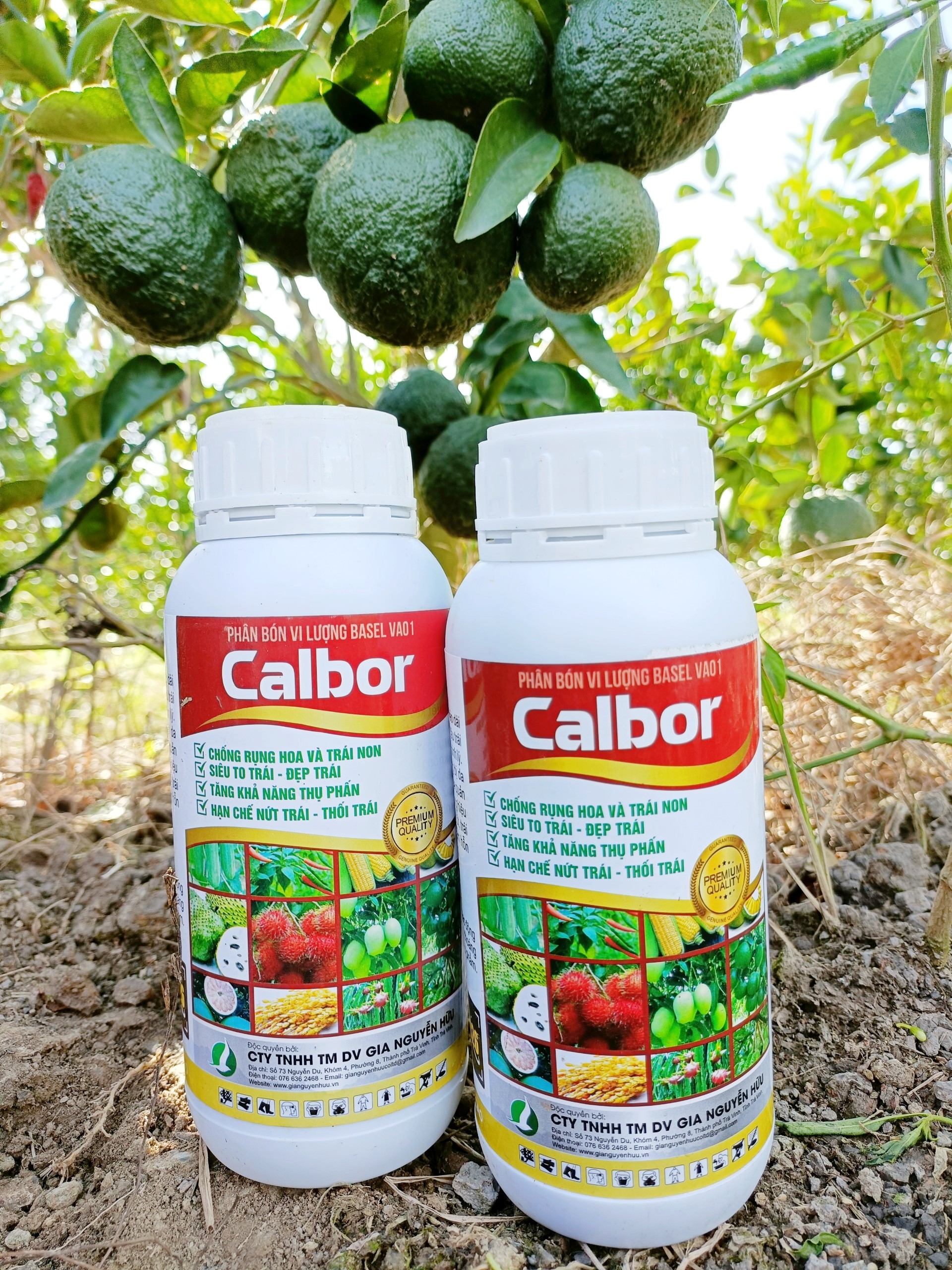 PHÂN BÓN CANXI BO GIÚP DAI CUỐNG, CHỐNG RỤNG HOA, TRÁI NON, TĂNG KHẢ NĂNG ĐẬU TRÁI - CHAI 500ML