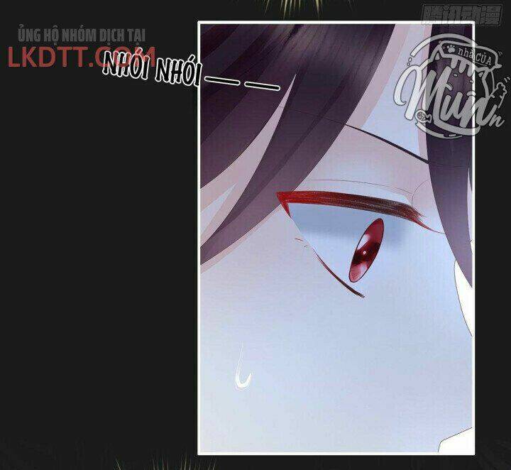 kiều phu có hỉ chapter 19 25