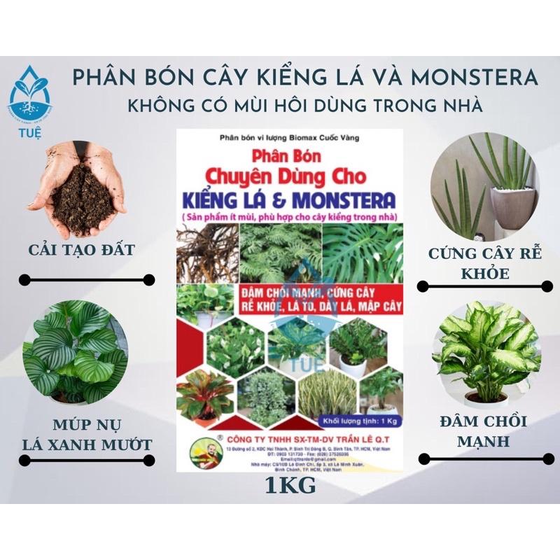 Phân Bón Cây Kiểng Lá và Monstera không có mùi hôi dùng trong nhà Gói 1kg
