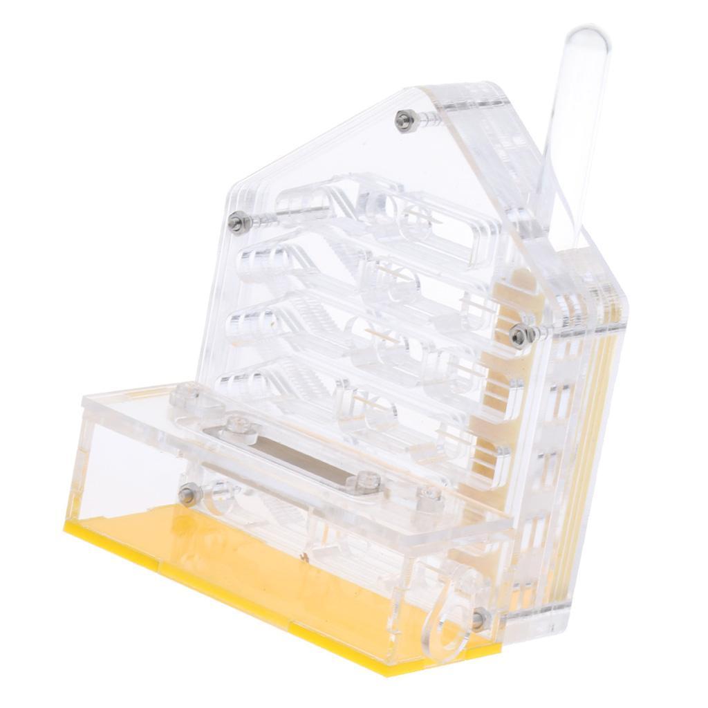 Clear Insect Ant Housing Acrylic Nest Ants Feed Farm Formicarium Box