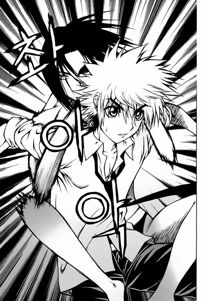 zippy ziggy chapter 56 19