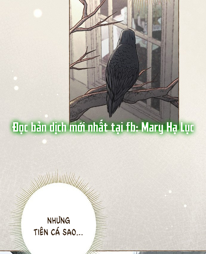 chàng tiên cá mắc kẹt trong hồ của tôi chapter 1.1 24