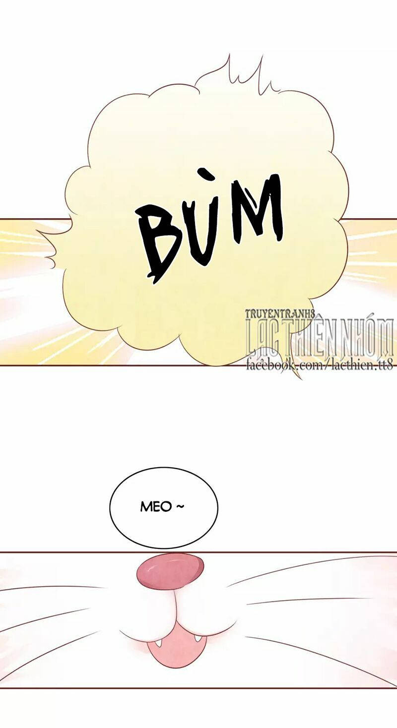 đào tạo nuôi dưỡng bạn trai mèo chapter 47 35