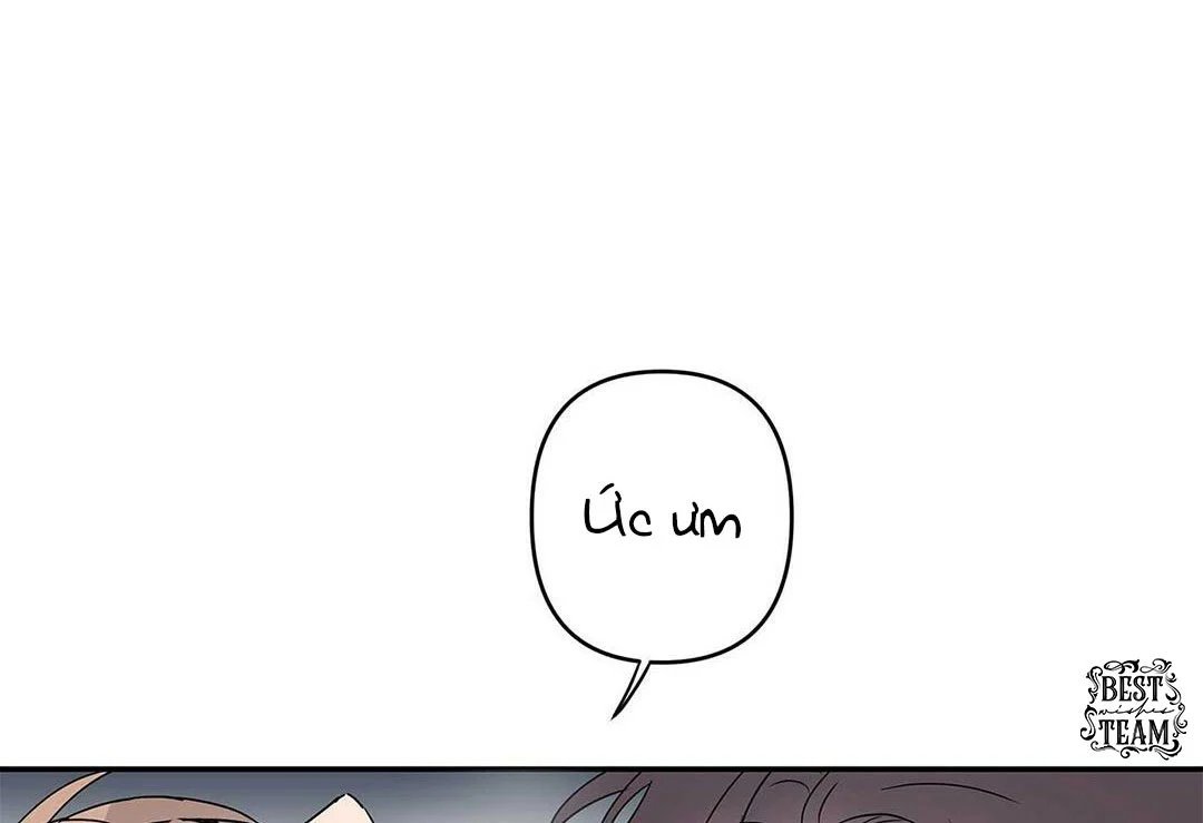 guide cấp b chapter 9 113