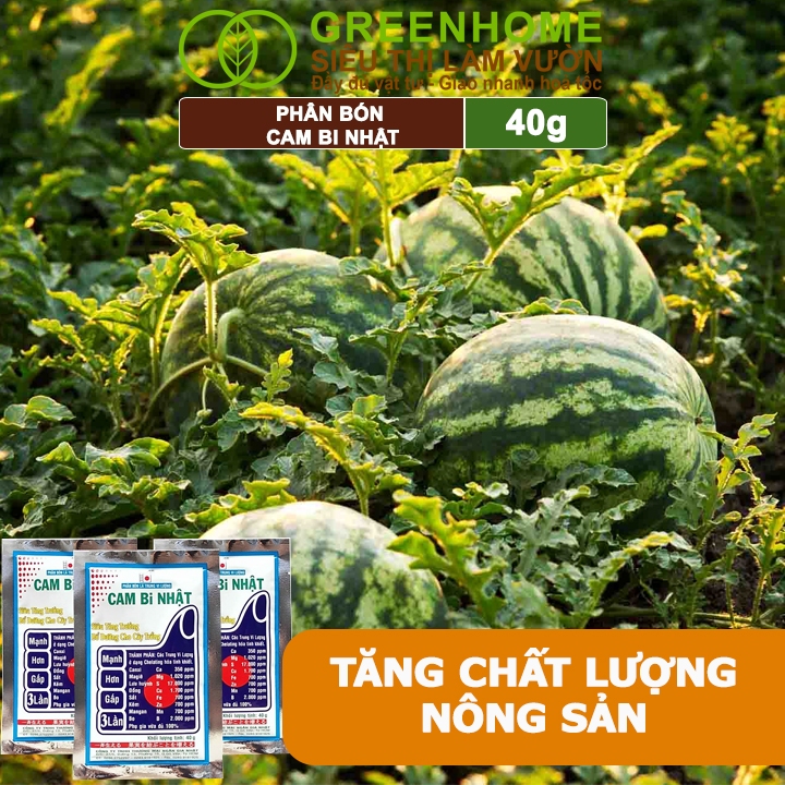 Phân Bón Lá Trung Vi Lượng CamBi Nhật, GreenHome,Gói 40Gr, Siêu Tăng Trưởng Cho Cây Trồng