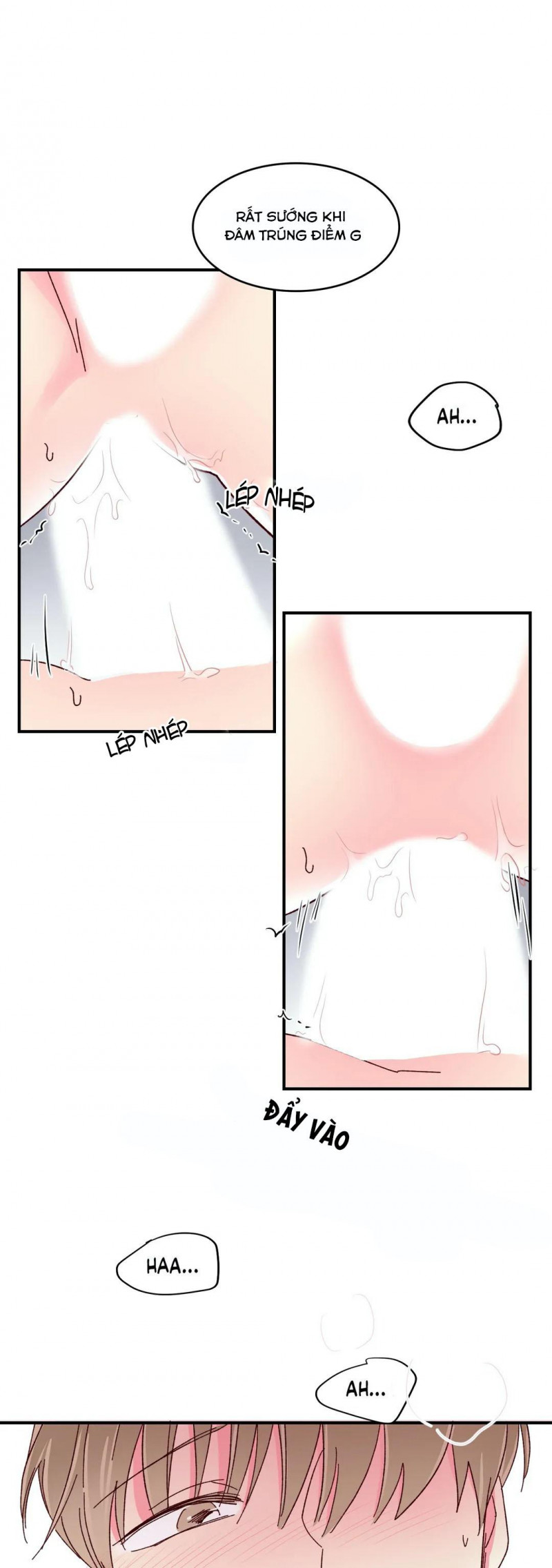 món tráng miệng của sếp tổng chapter 48 20