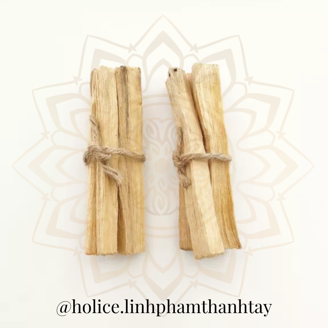 1 Que Gỗ Thánh Palo Santo Holice Thanh Tẩy Đồ Vật, Không Gian Sống, Tái Tạo Năng Lượng, Giảm Stress