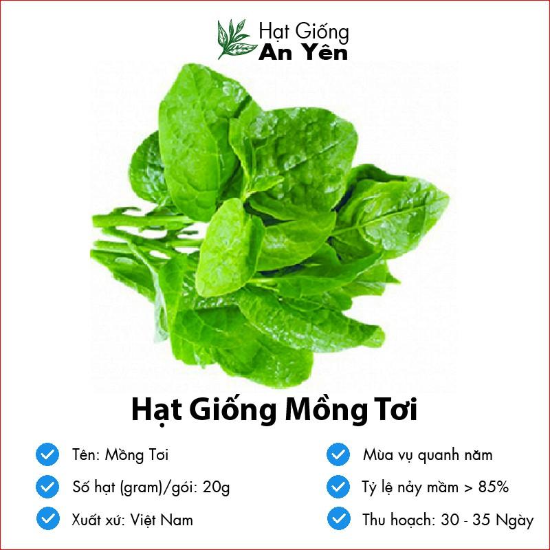 Hạt giống Mồng Tơi thu hoạch sớm, dễ trồng, nảy mầm cao, sinh trưởng khoẻ