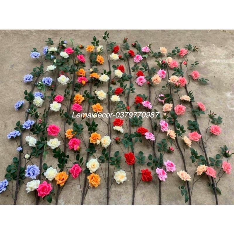 Dây leo Hoa hồng - Hoa lụa