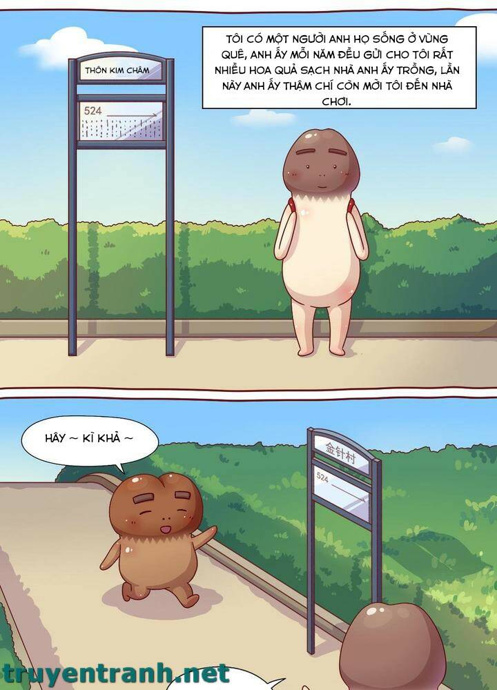 cây nấm kì khả chapter 13 2