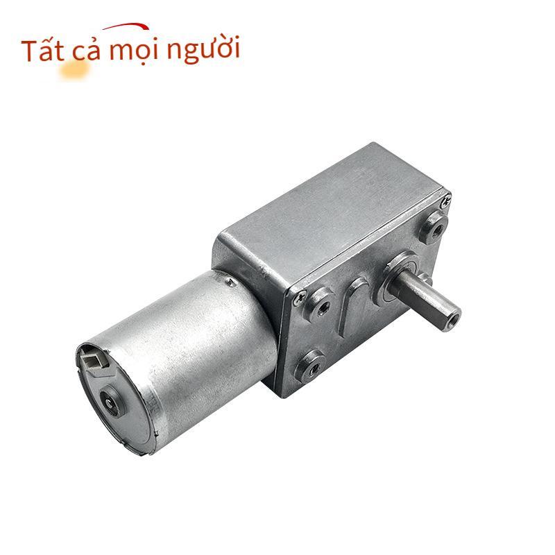 Động cơ giảm tốc trục vít không chổi than 370 DC giá thấp nhất với động cơ giảm tốc tự khóa, mô-men xoắn cao, độ bền cao và tuổi thọ cao