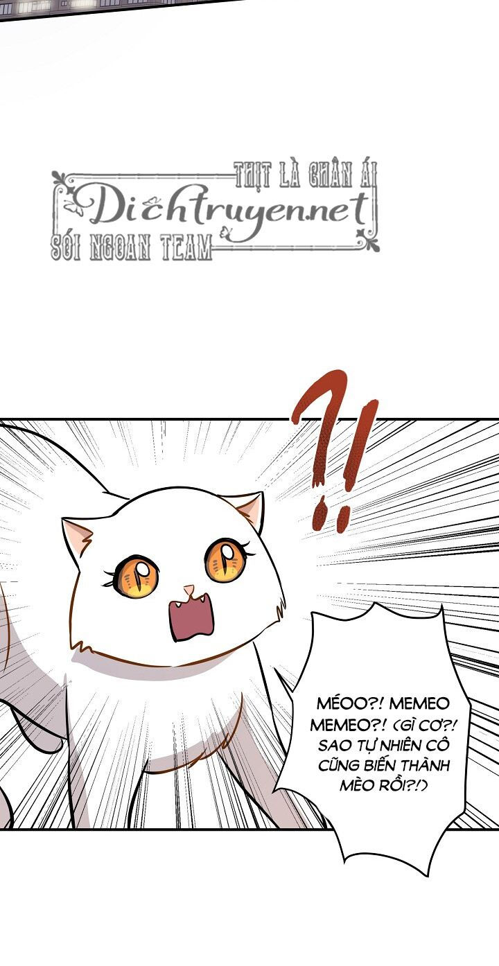 cuộc sống kỳ thú chapter 44 18