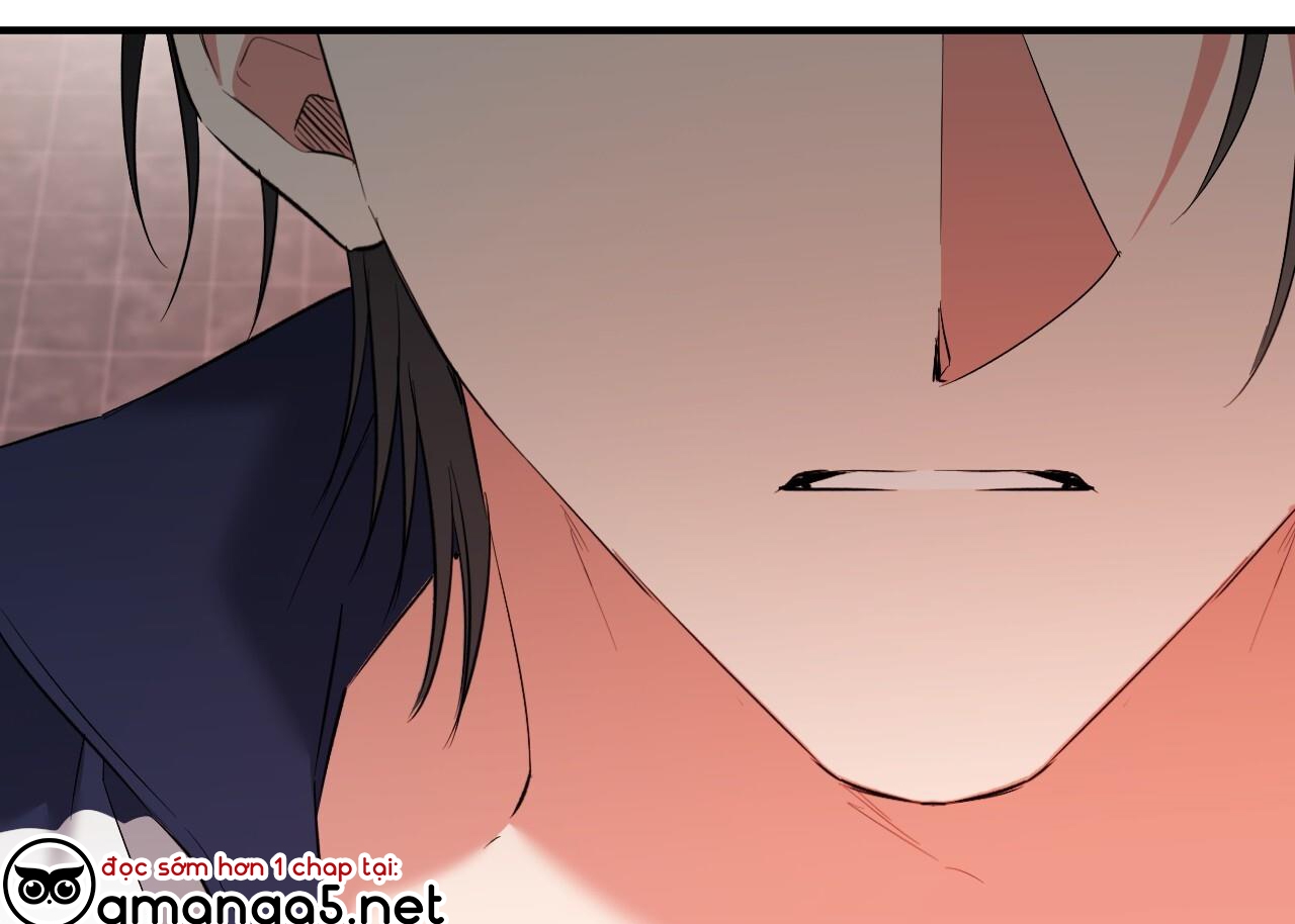 những chú thỏ của hapypy chapter 63 4