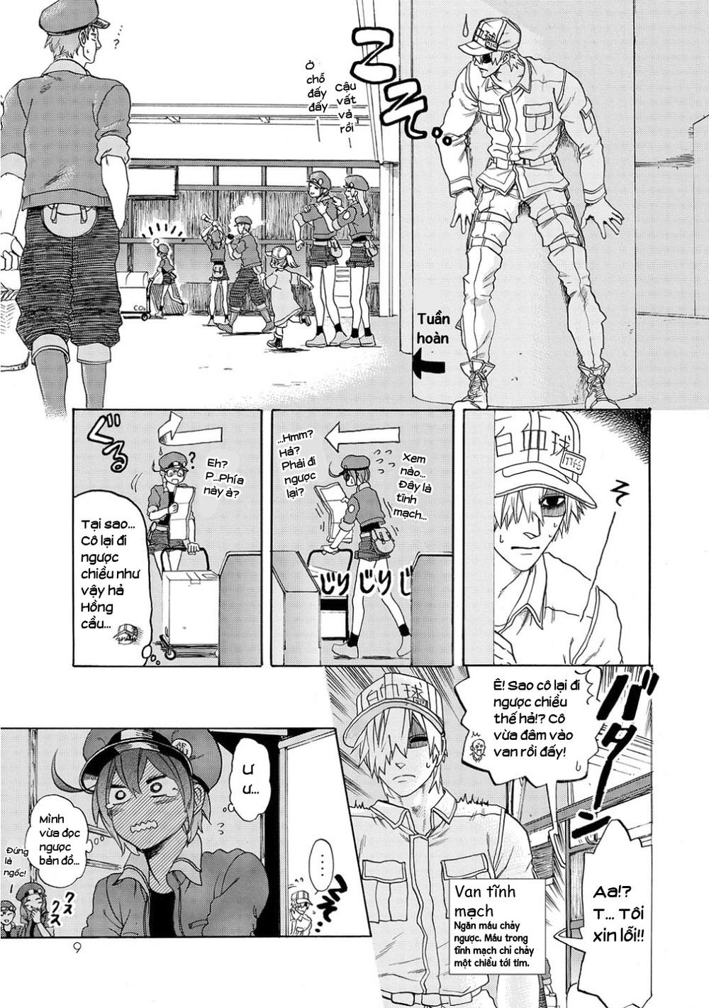 hataraku saibou! chapter 10 11