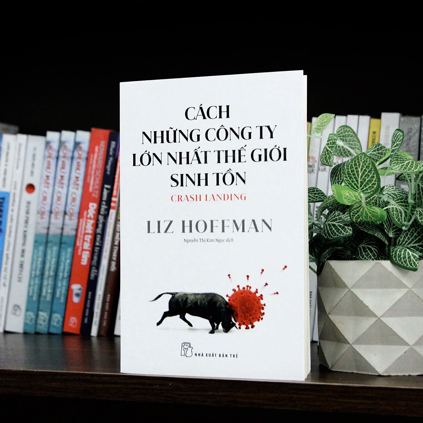 Cách những công ty lớn nhất thế giới sinh tồn