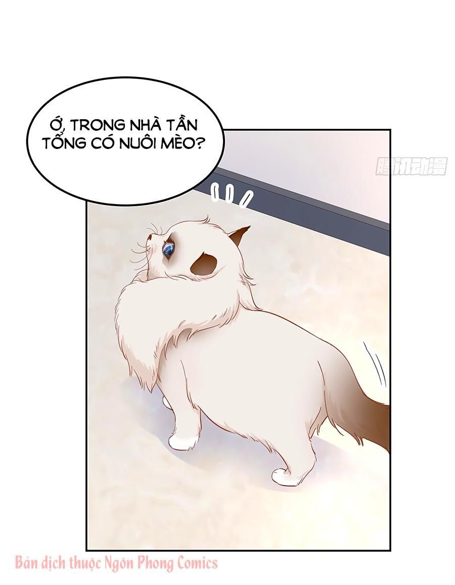 hotboy quốc dân là nữ chapter 51 20