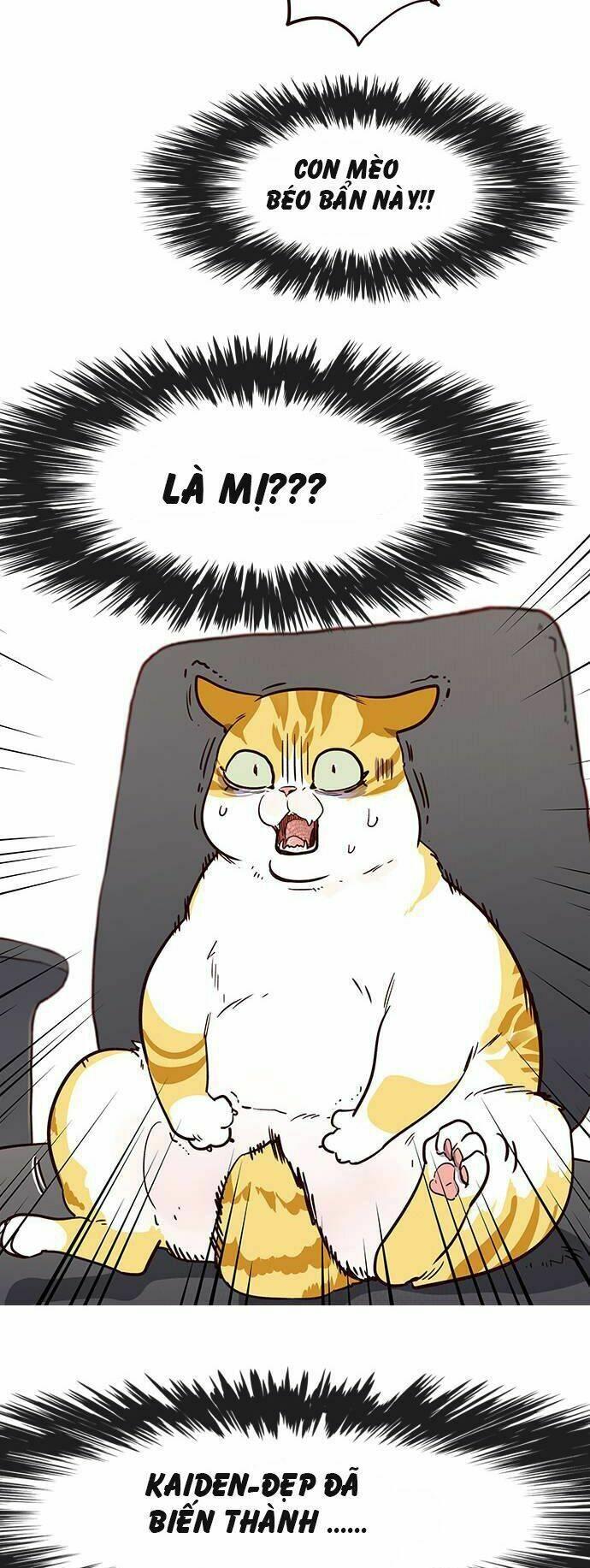 biến thân thành mèo chapter 1 47