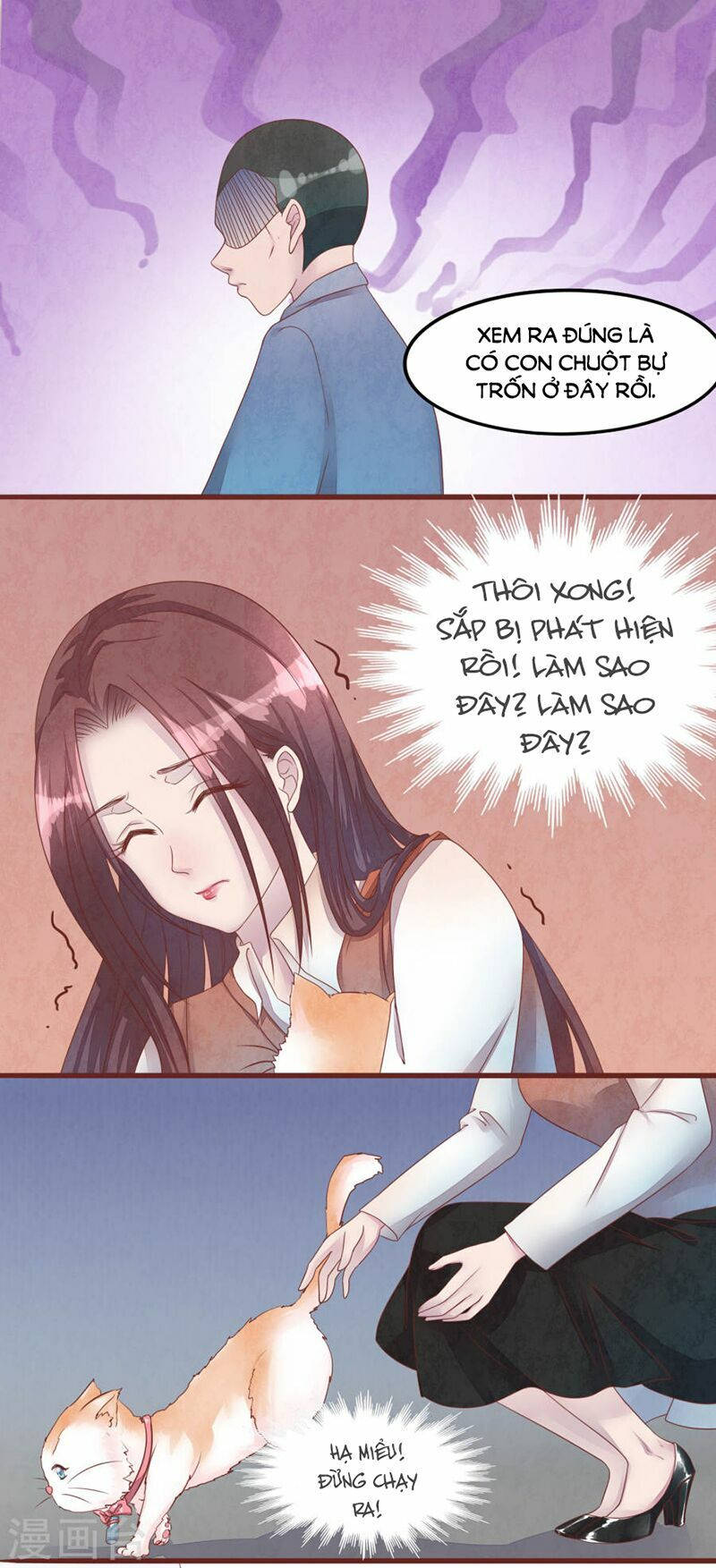 đào tạo nuôi dưỡng bạn trai mèo chapter 50 18