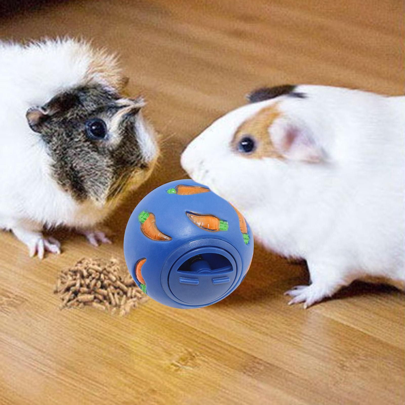 Bunny Treat Ball Snack Toy Ball Pet Slow Feeder Dog Interactive Toy Physical and Mental Exercise Feeding Guinea Pig Chinchilla Dog