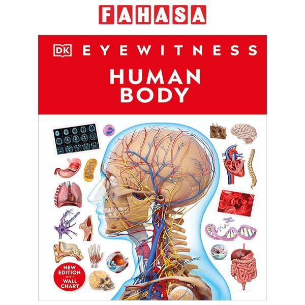 Eyewitness - Human Body