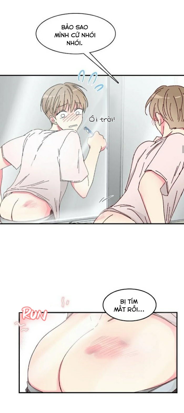 món tráng miệng của sếp tổng chapter 11 15