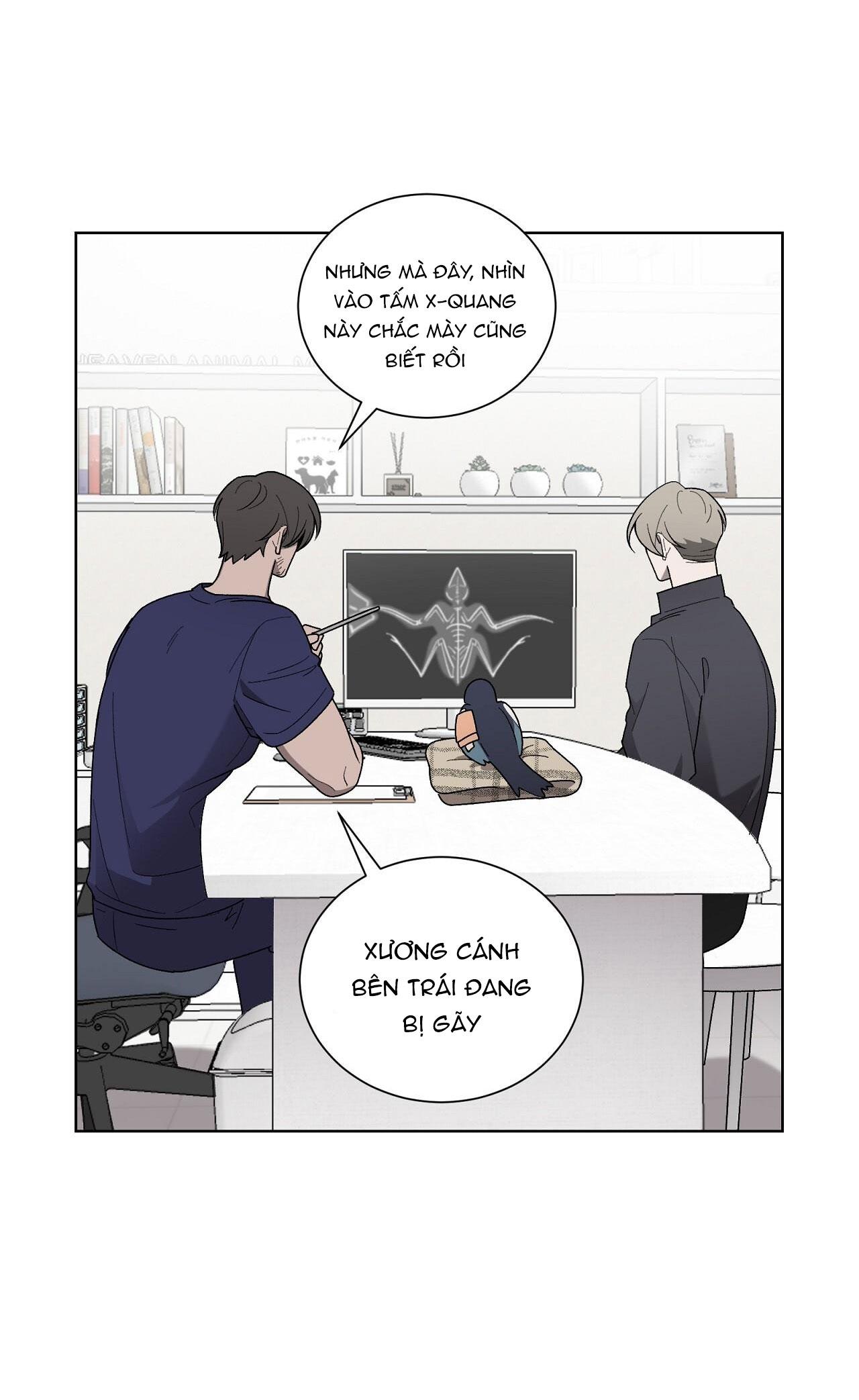 khi chim thước đến chapter 13 26