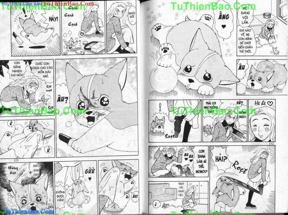 chó con mo mo chapter 3 77