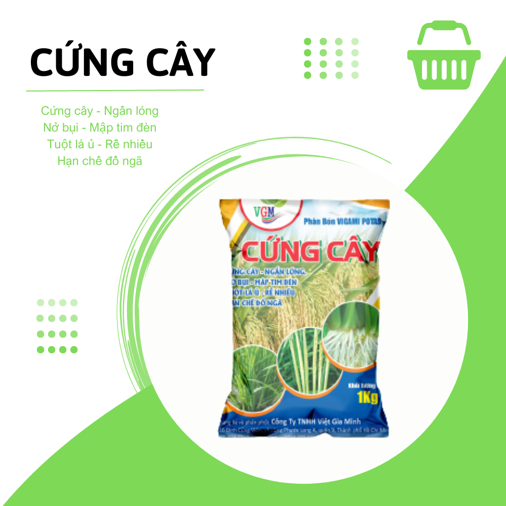Phân bón VIGAMI POTAS cứng cây 1KG