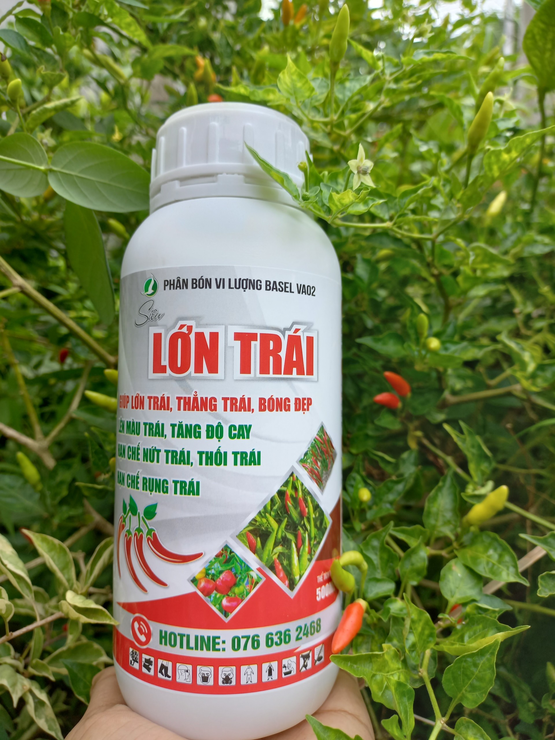 SIÊU LỚN TRÁI ỚT (CHAI 500ML) Lên màu trái, tăng độ cay Hạn chế nứt trái, thối trái, rụng trái