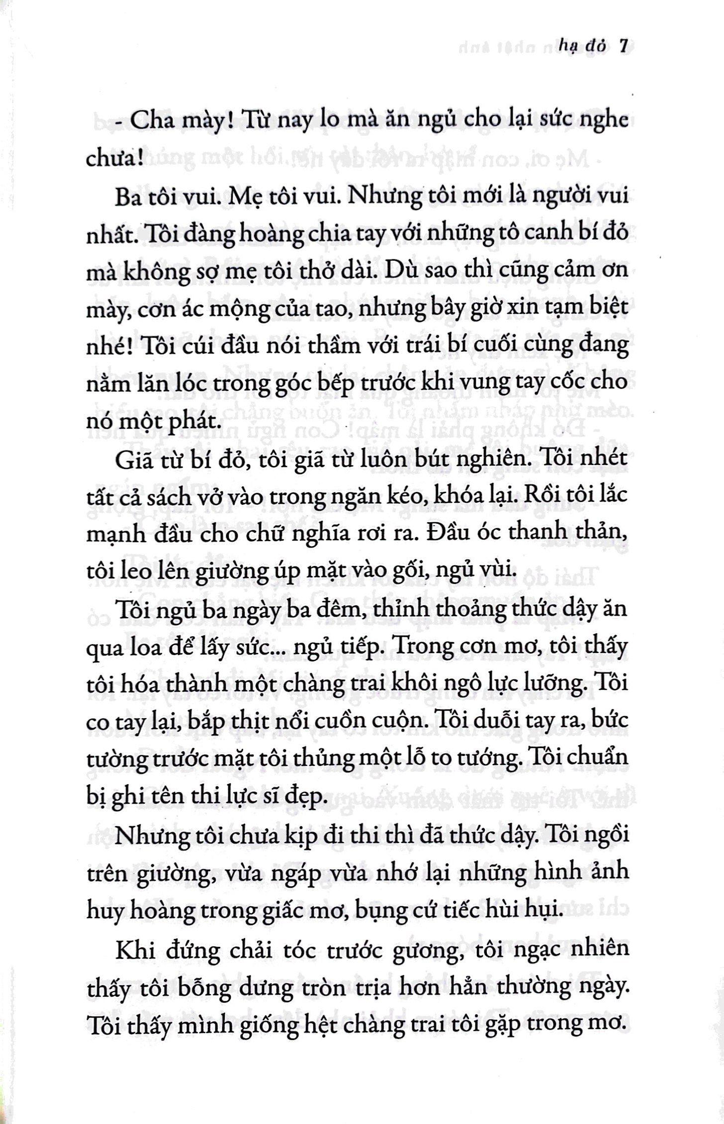 Hạ Đỏ (Tái Bản 2022)