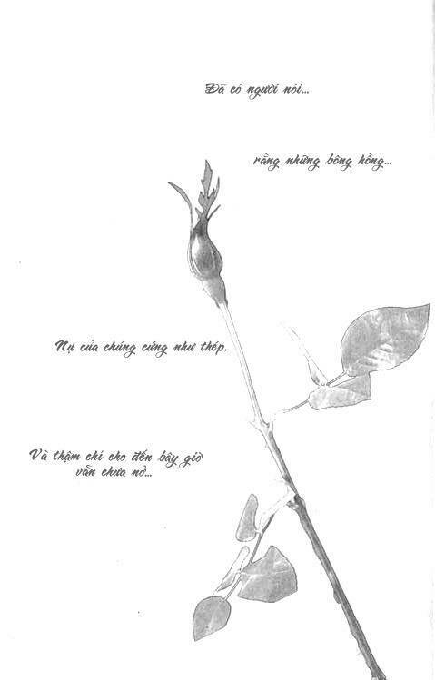 steel rose chapter 1 6