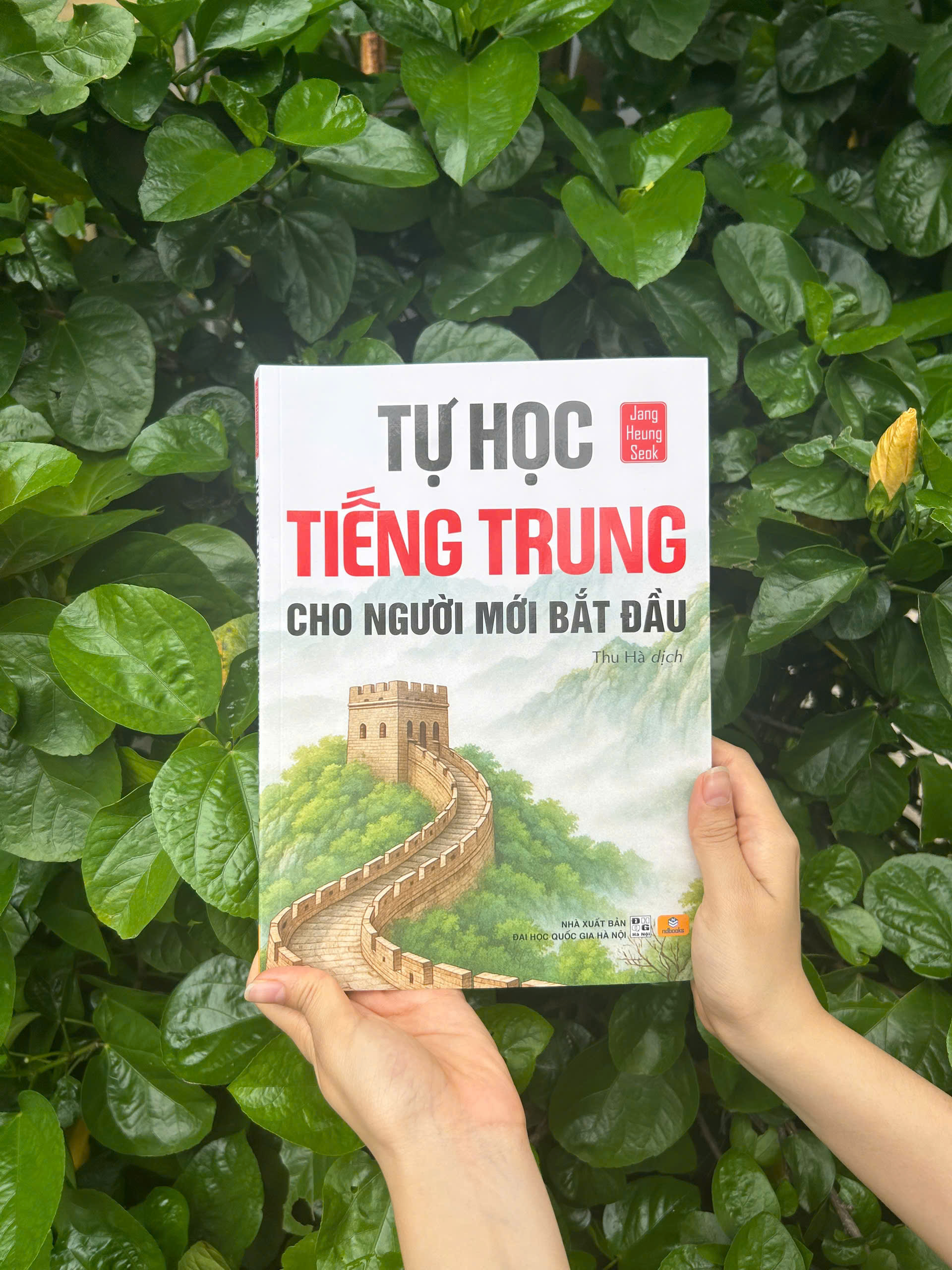 Sách - Tự Học Tiếng Trung Cho Người Mới Bắt Đầu - ndbooks
