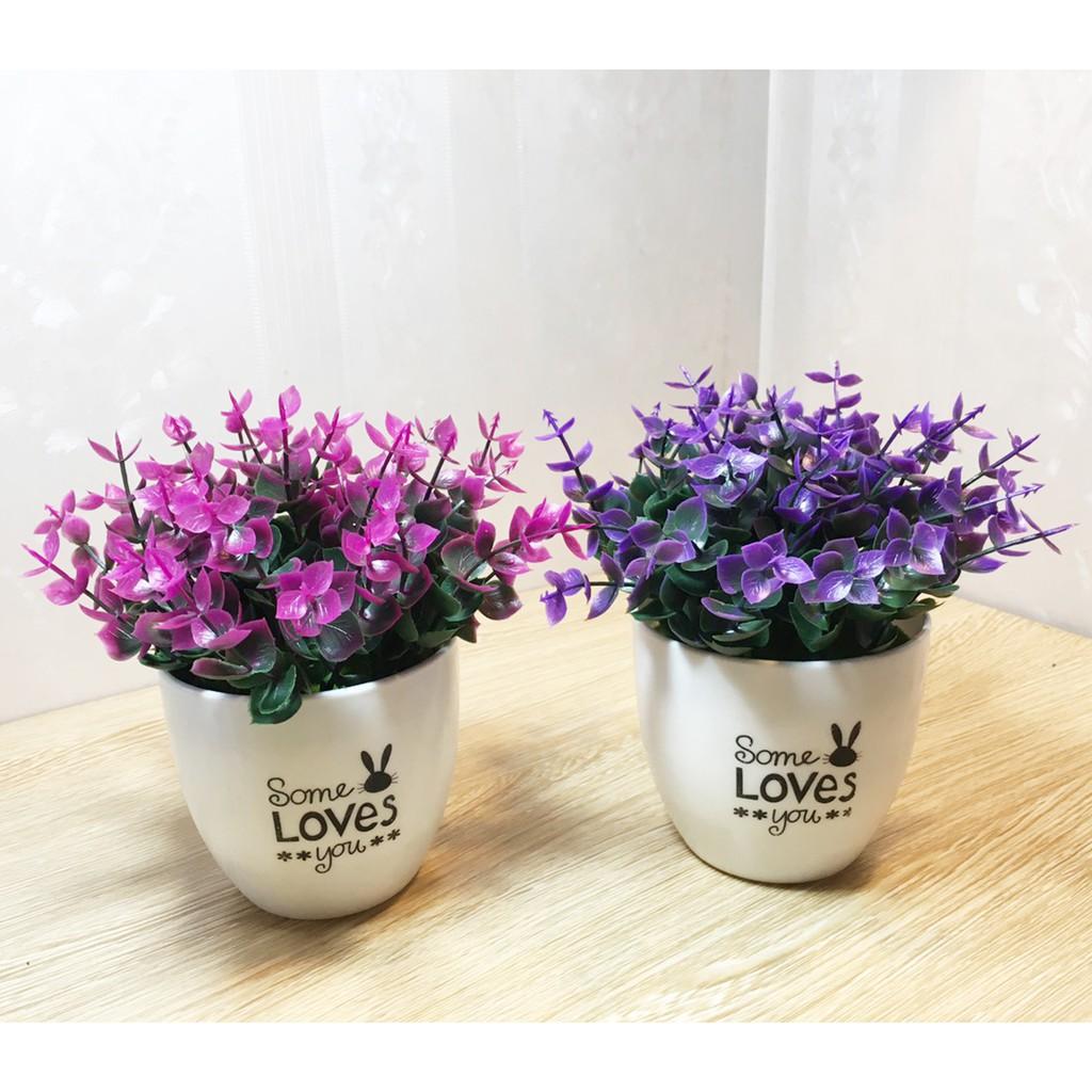 Hoa giả-Chậu hoa lá trang trí Some Loves You cao cấp để bàn, kệ sách, góc học tập, decor