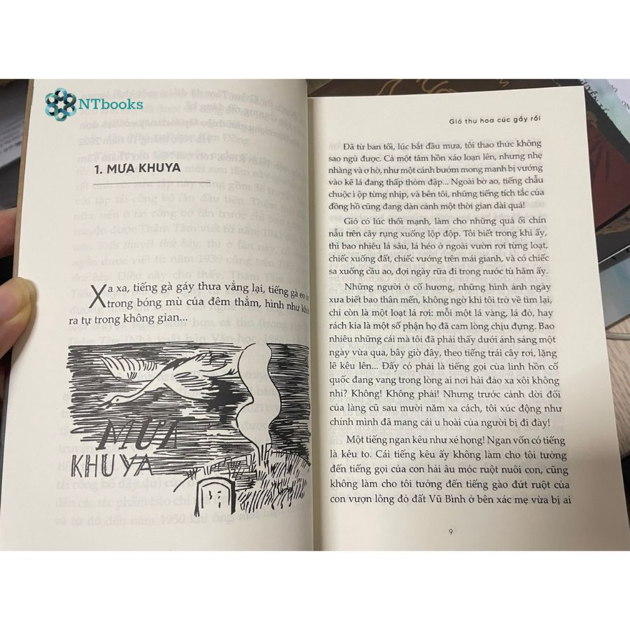 Gió Thu Hoa Cúc Gầy Rồi - Thuốc Mê