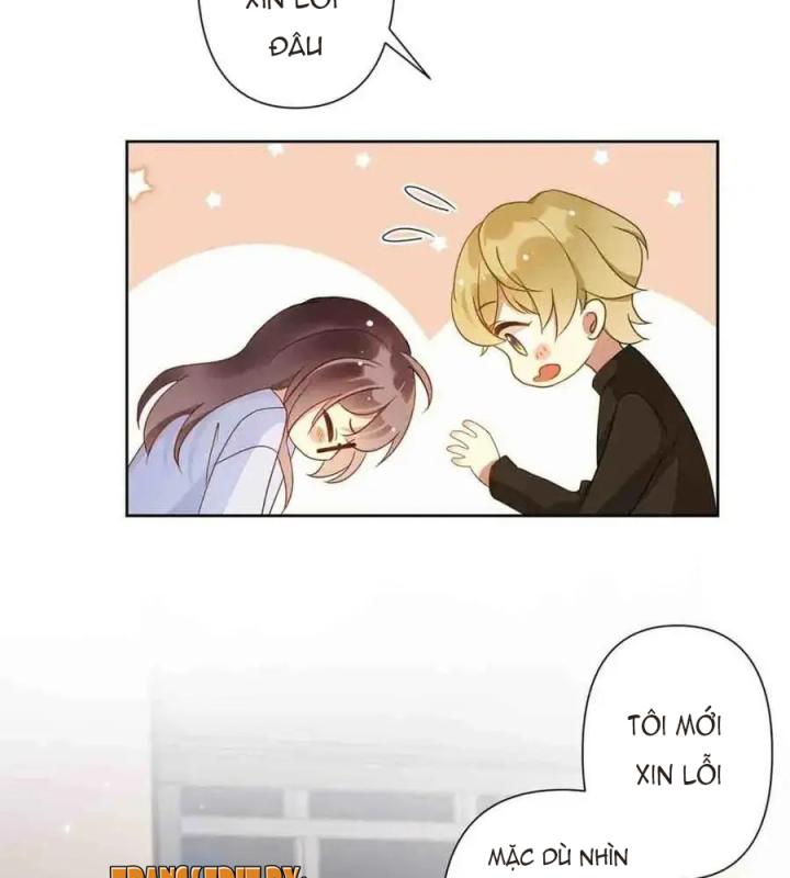 sau đêm ly hôn chapter 14 16