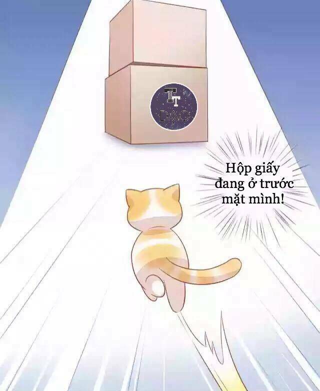 thị hoang chi thần chapter 12 22