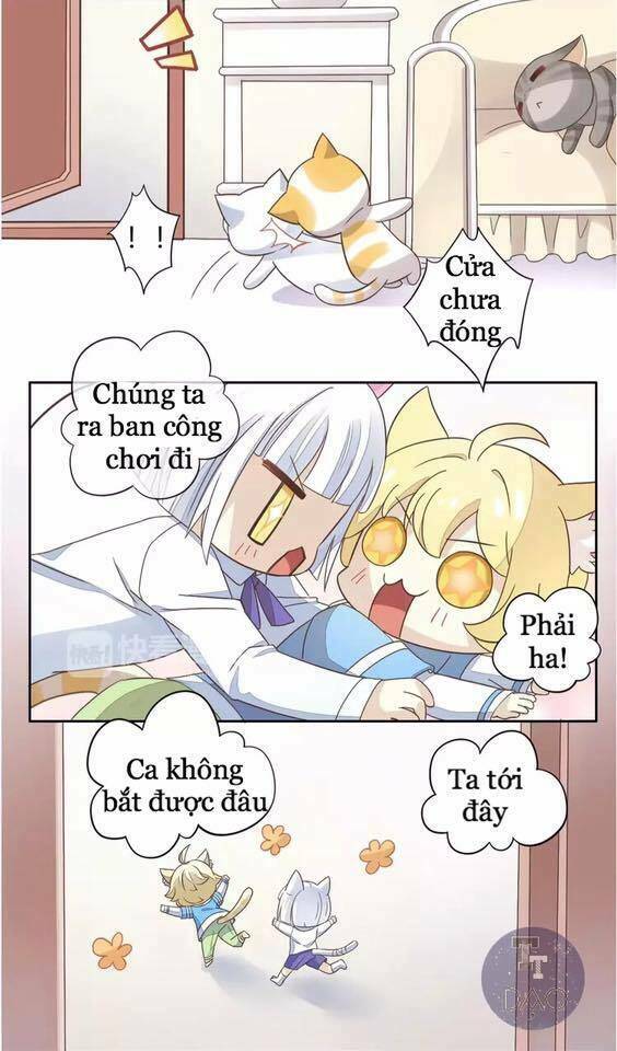 thị hoang chi thần chapter 19 19