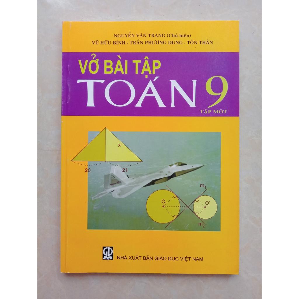 Sách - Vở bài tập Toán 9 (tập 1)