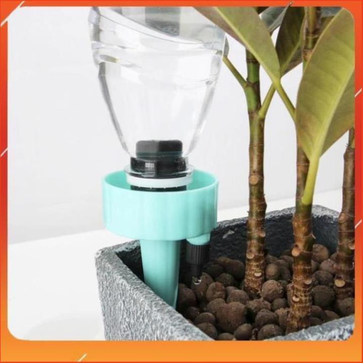 Set 12 que cắm tưới cây nhỏ giọt 206801