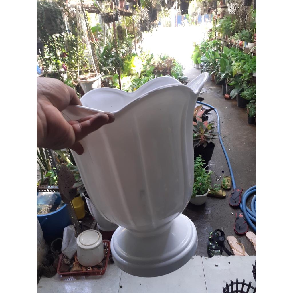 Combo 2 chậu nhựa chân đế hình hoa loa kèn