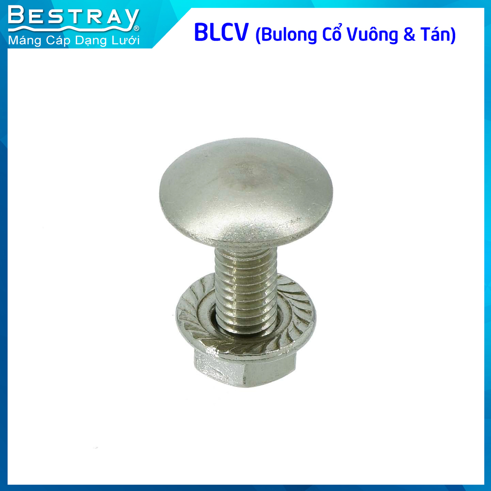 Bulong Cổ Vuông + Bulong Đầu Dù | Máng Cáp Bestray