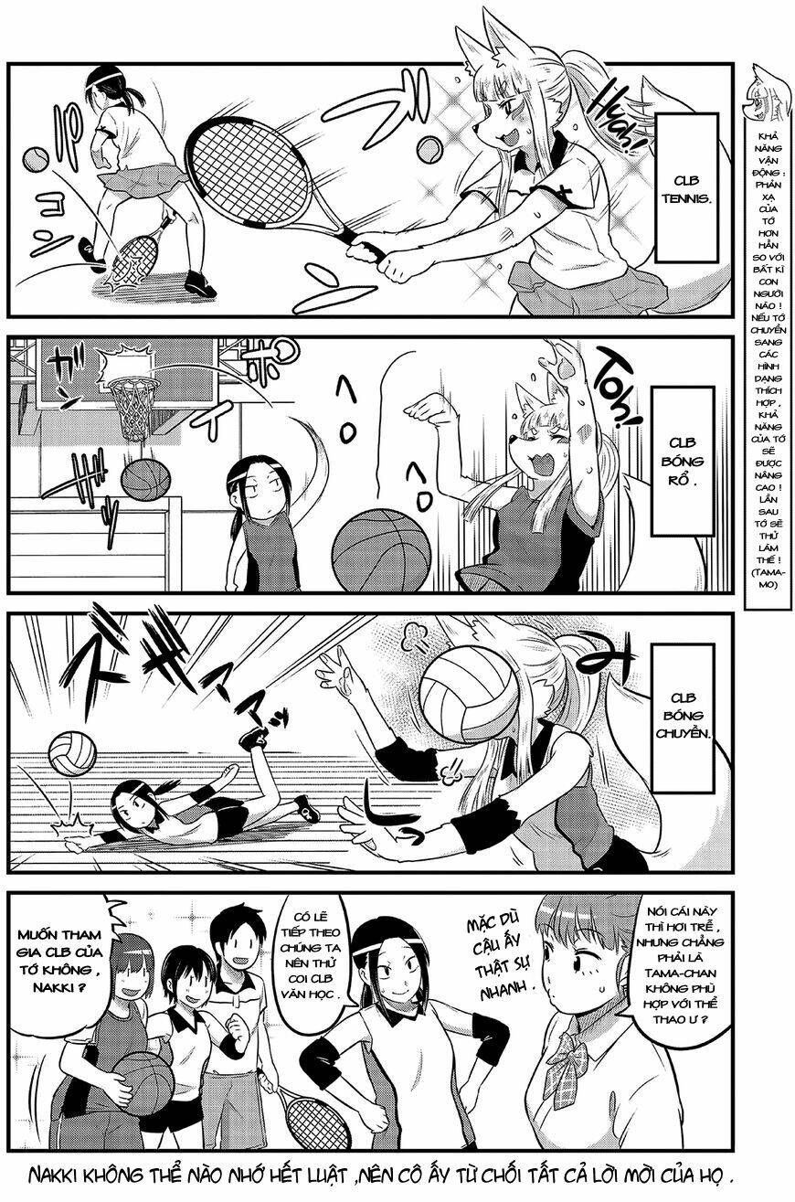 high school inari tamamo-chan ! chapter 12 9