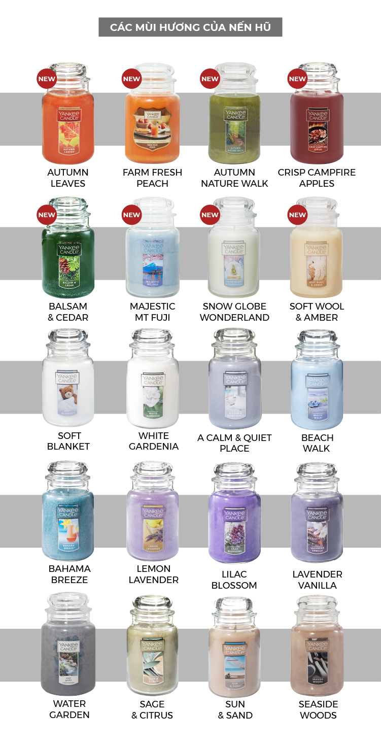 Nến hũ Yankee Candle size L - Balsam &amp; Cedar (623g)