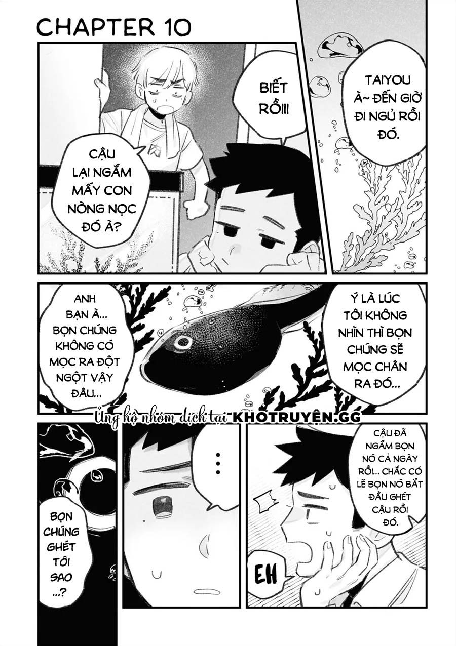 tình yêu của hai kẻ bám đuôi chapter 10 2