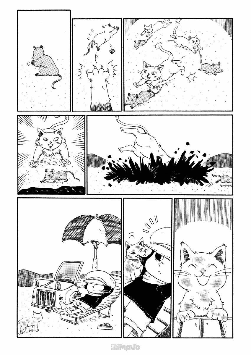 cat in the car chapter 17 3