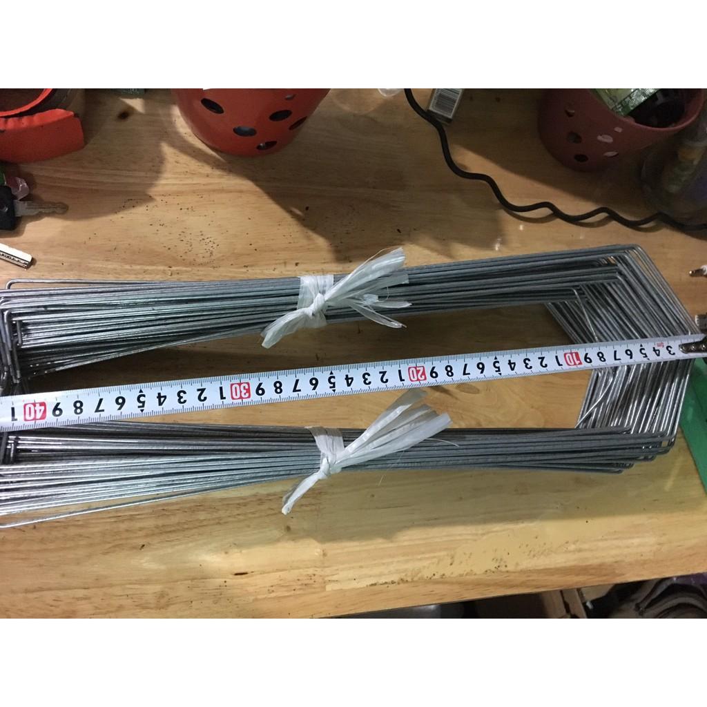 100 móc U chậu 12